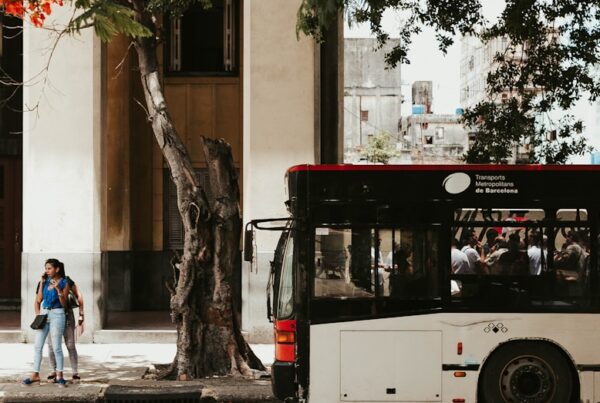 bus beside road