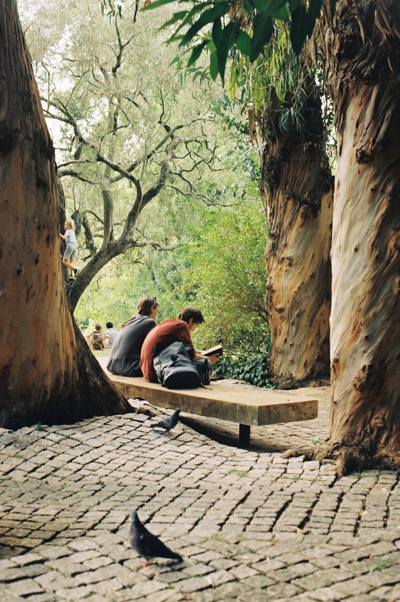 A peaceful moment in a Lisbon park with people reading and relaxing under olive trees.