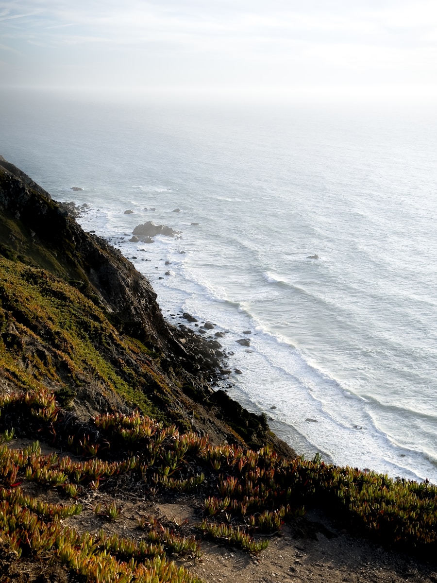 A view of the ocean from the top of a hill