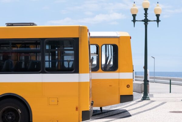 two yellow bus at daytime